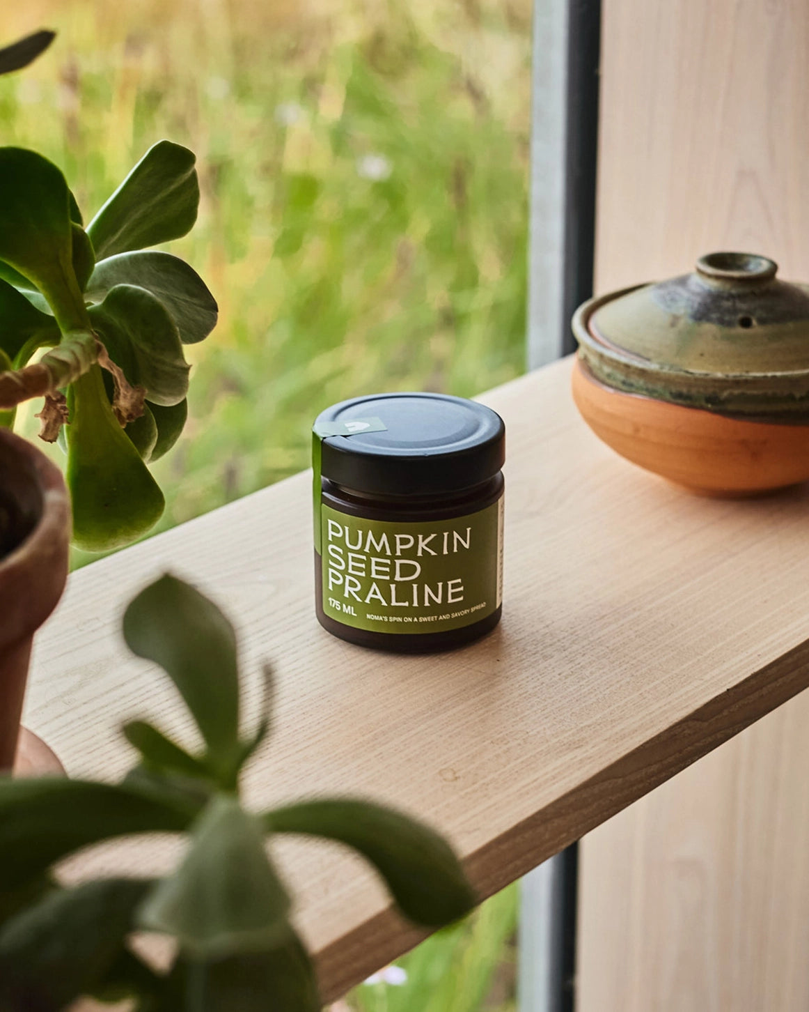Noma Projects - Pumpkin Seed Praline - 175 mL (BB October 20, 2026)