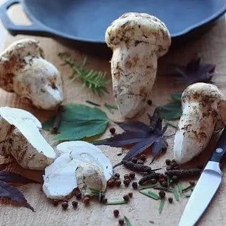 Haku - Matsutake Shoyu - 500 mL