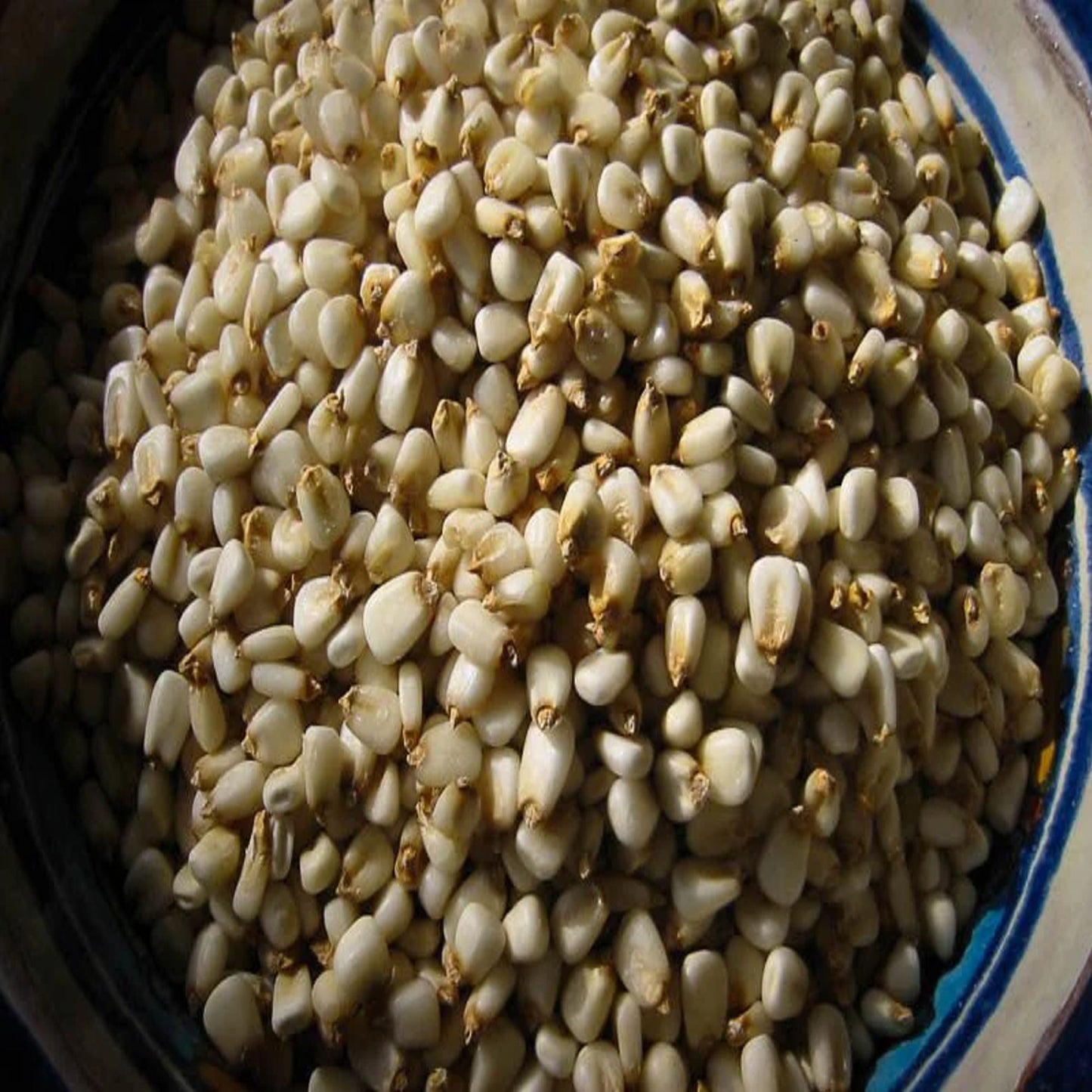 Rancho Gordo - Prepared Hominy White Corn Posole