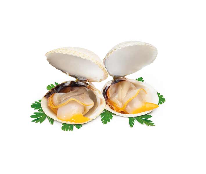 Espinaler - Cockles - 25/30 Pieces - Premium Line - 120 g