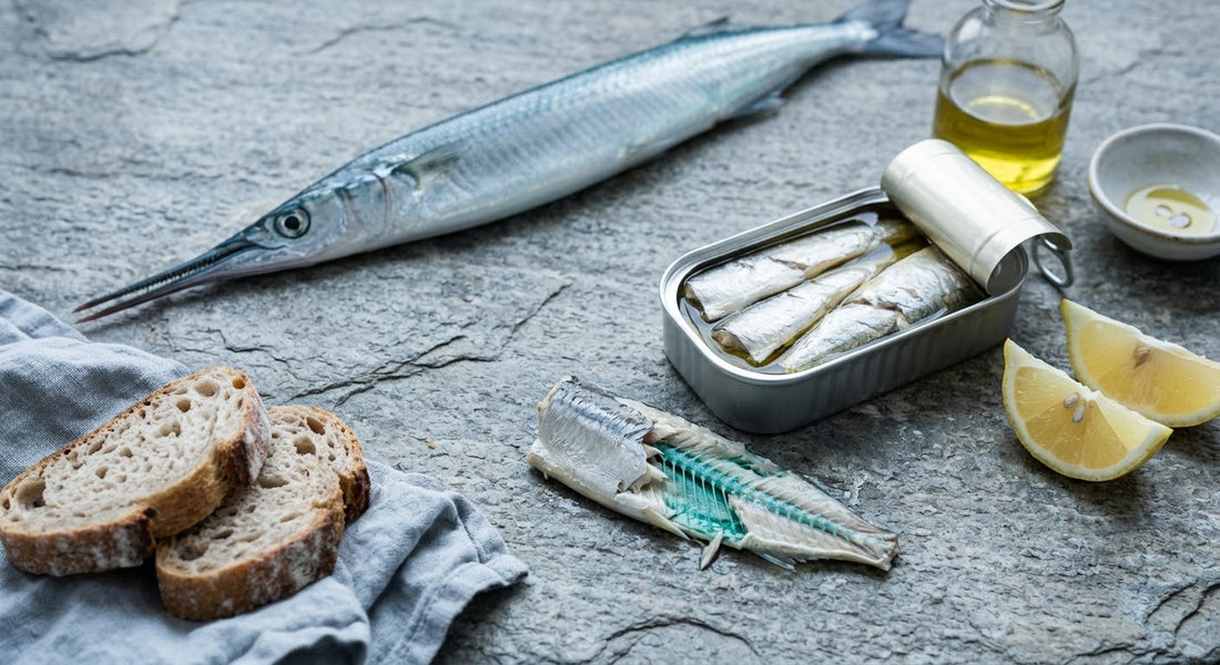 Whole silver garfish with an open tin of garfish in olive oil showing its green bones