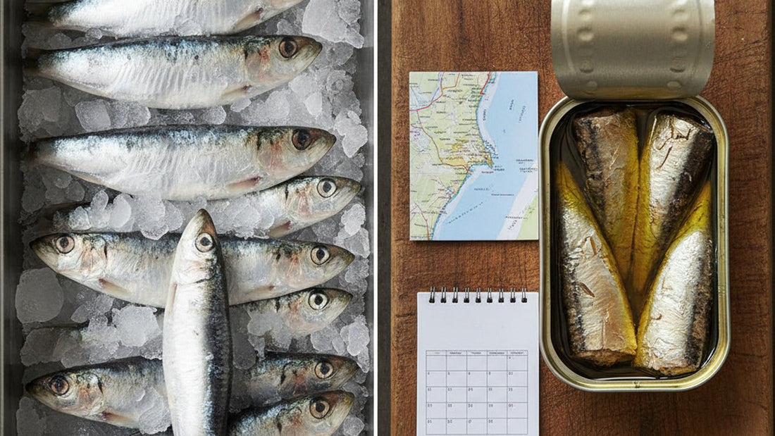 A fish counter tray of whole fresh sardines on crushed ice beside an opened tin of sardines in olive oil on a wooden board, a calendar page and a small map of the Atlantic coast between them