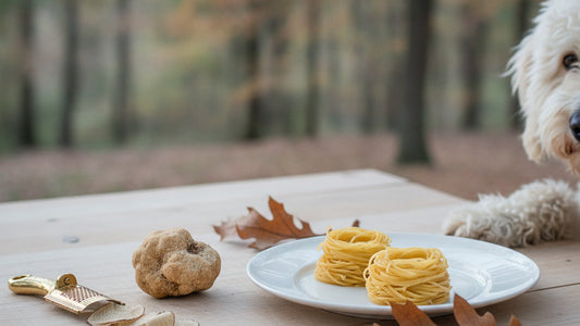 A single knobbly white truffle on a wooden board beside a small brass truffle shaver and a nest of thin egg tajarin pasta, with oak leaves and a Lagotto dog's paw at the edge of frame, in cool autumn light