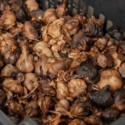 Close-up of dried flowers or herbs in a container