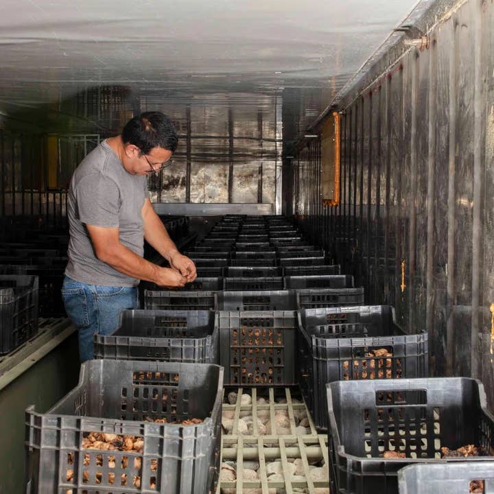 Man sorting items into black crates in a storage room.