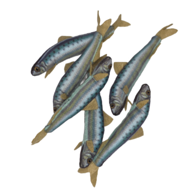 Canned Gifts - Can O' Sardines - Pop Top Lid