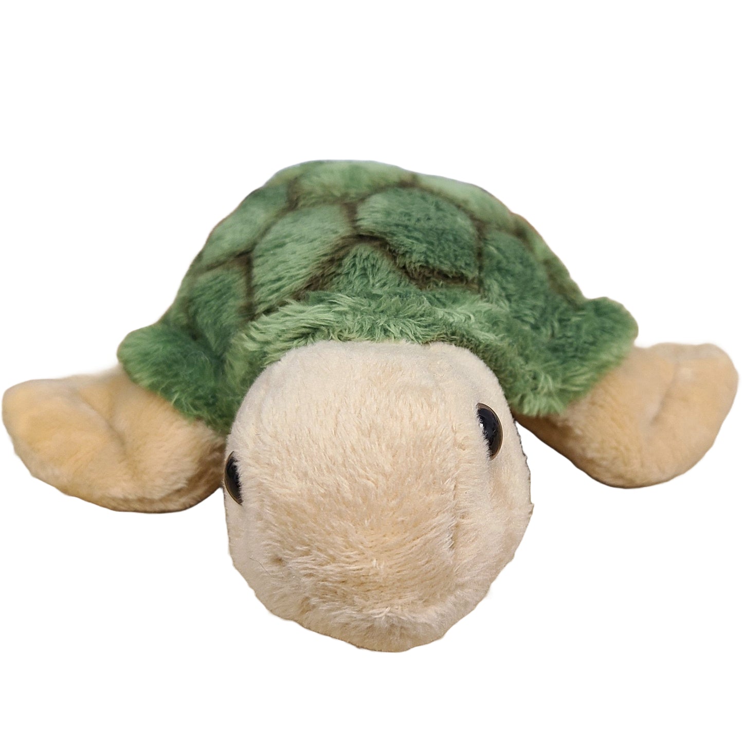 Plush turtle toy with green shell on a white background