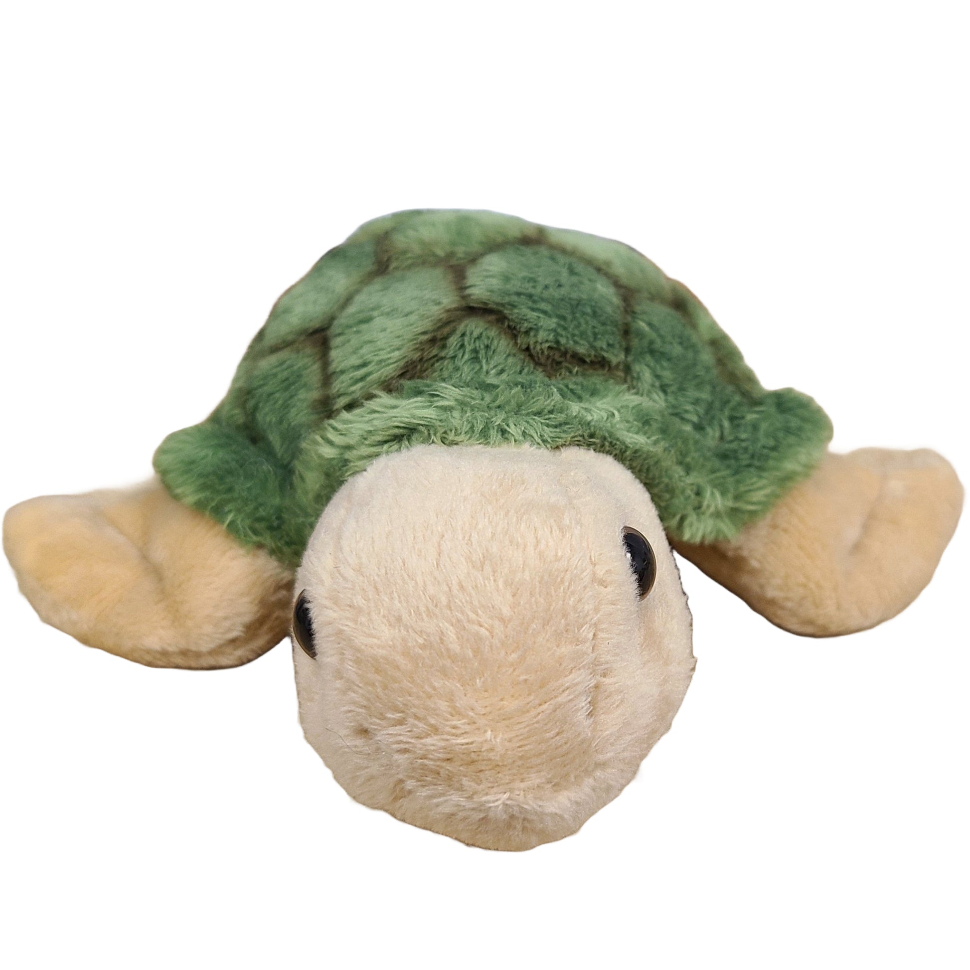 Plush turtle toy with green shell on a white background