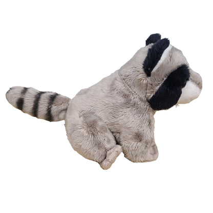 Plush toy raccoon on a white background