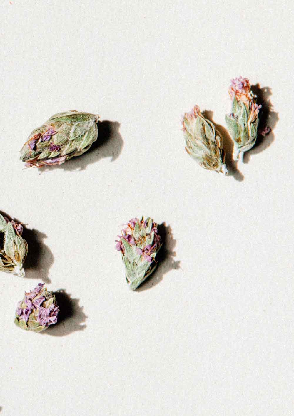 Daphnis And Chloe - Wild Thyme Flowers - 14 g