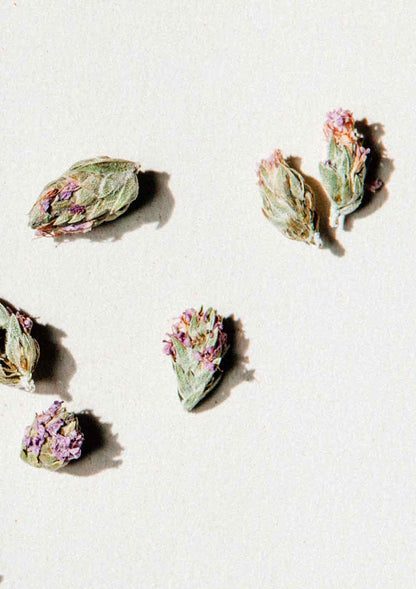Daphnis And Chloe - Wild Thyme Flowers - 14 g, view 2