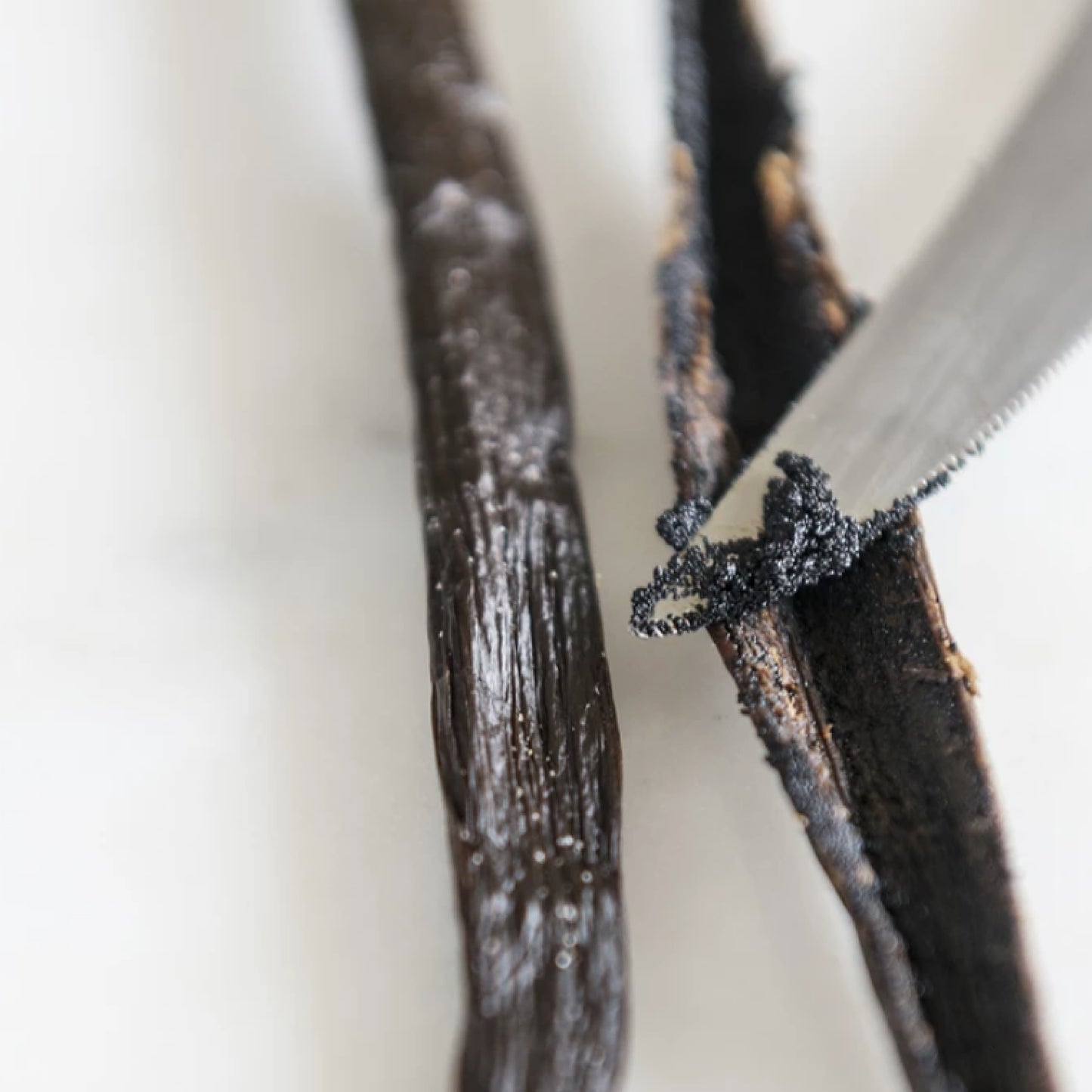 Vanilla bean with a small amount of vanilla extract on a white background