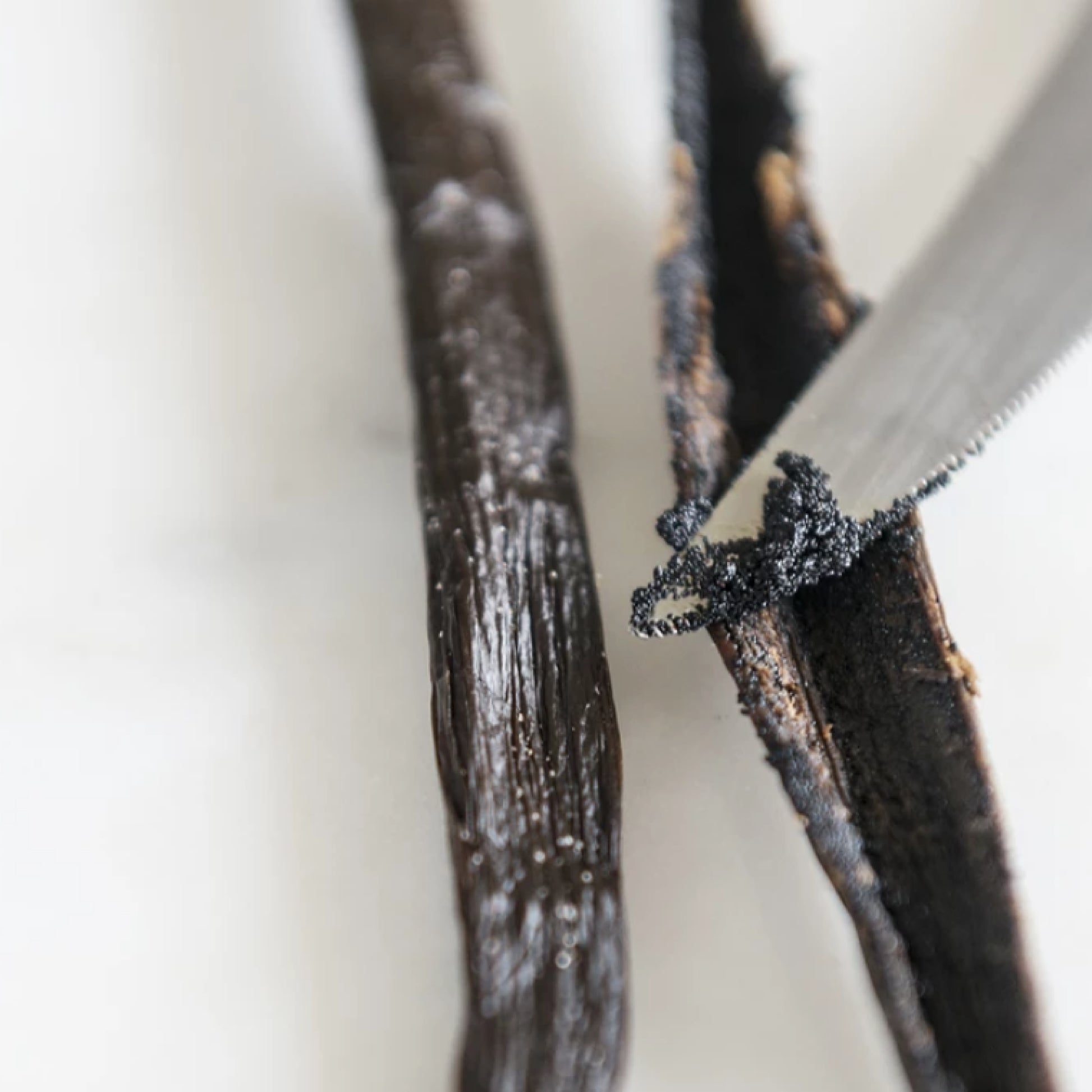 Vanilla bean with a small amount of vanilla extract on a white background
