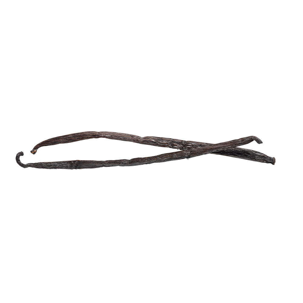 Two vanilla beans on a white background