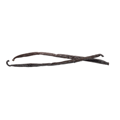 Two vanilla beans on a white background