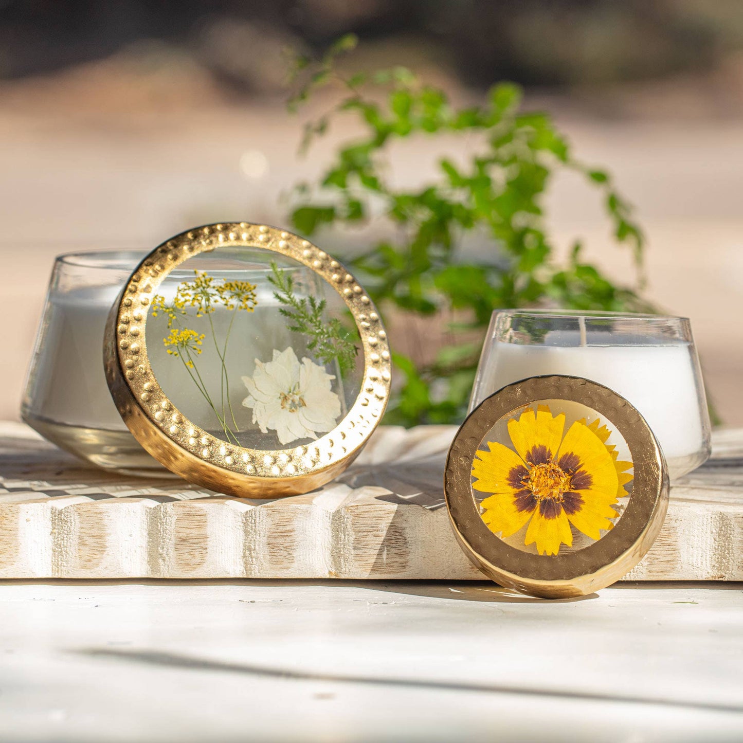 Two round decorative items with pressed flowers inside, placed on a wooden surface with a blurred plant in the background.