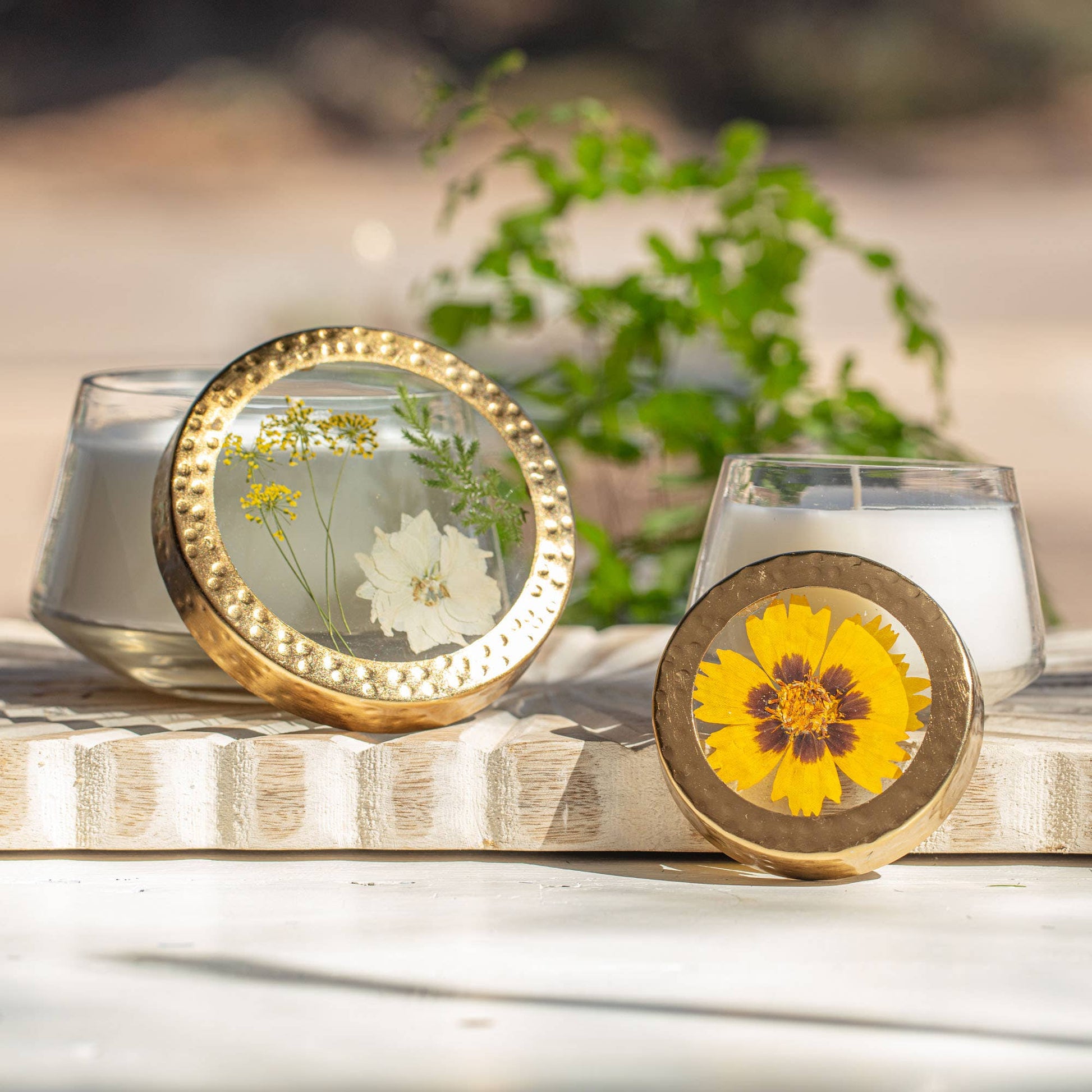 Two round decorative items with pressed flowers inside, placed on a wooden surface with a blurred plant in the background.