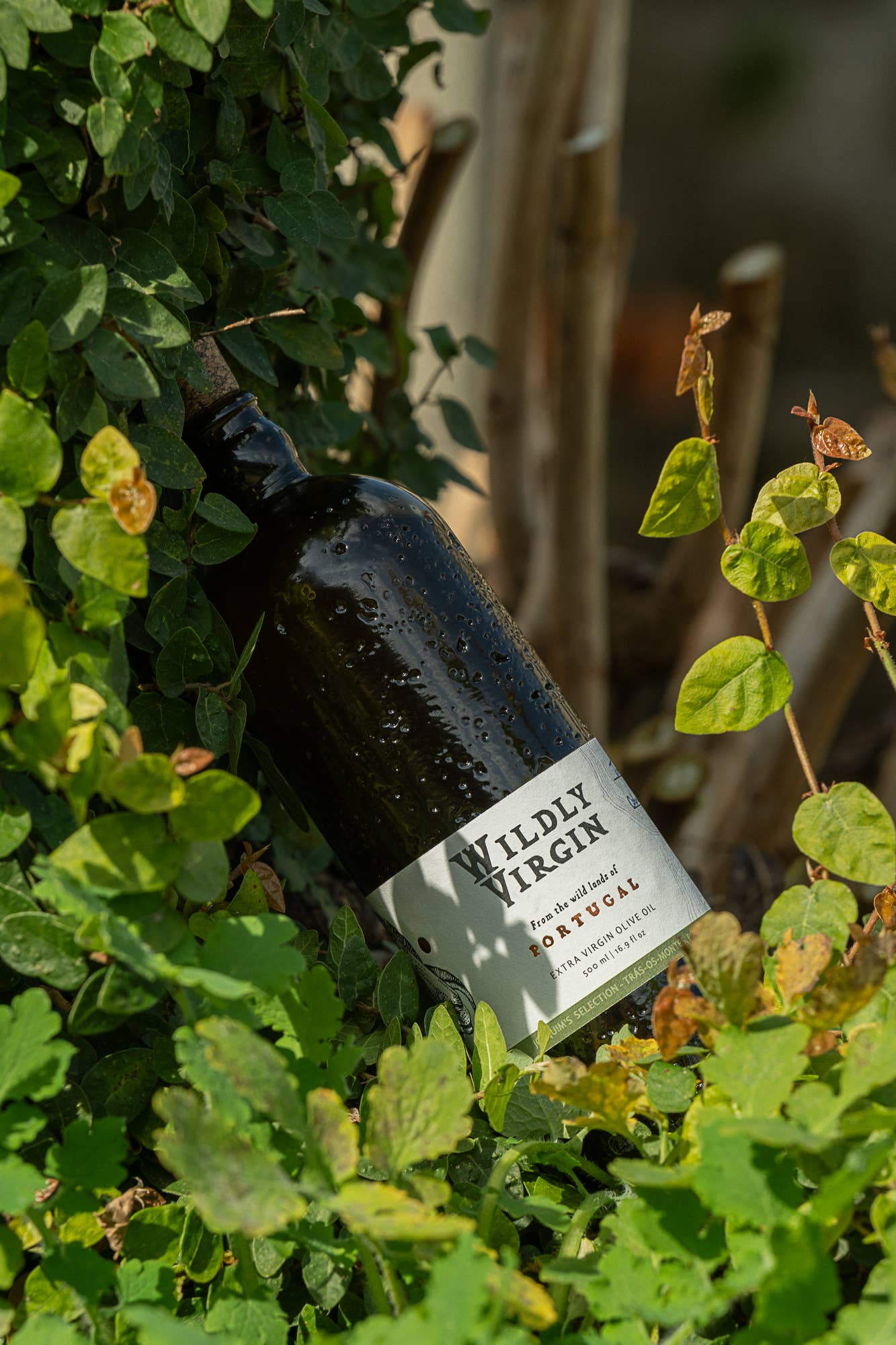 Wine bottle labeled 'Wildly Virgin' in a bush