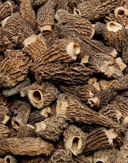 Close-up of a pile of morel mushrooms