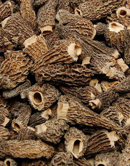 Close-up of a pile of morel mushrooms