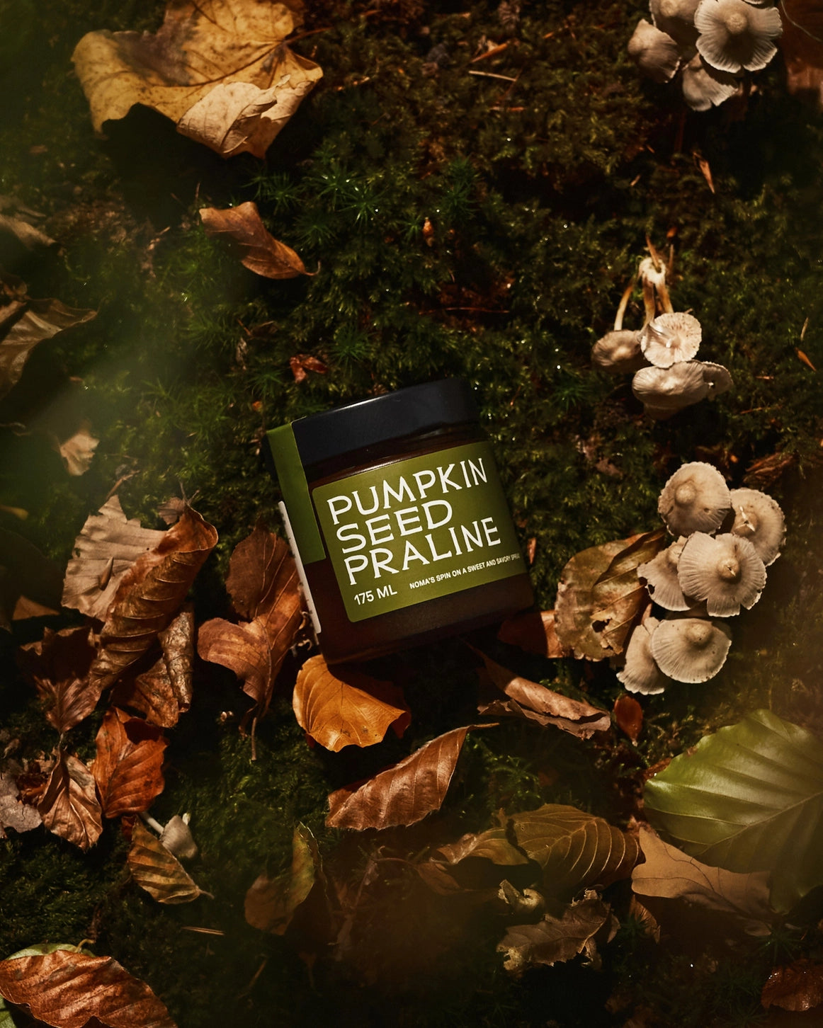 Noma Projects - Pumpkin Seed Praline - 175 mL (BB October 20, 2026)