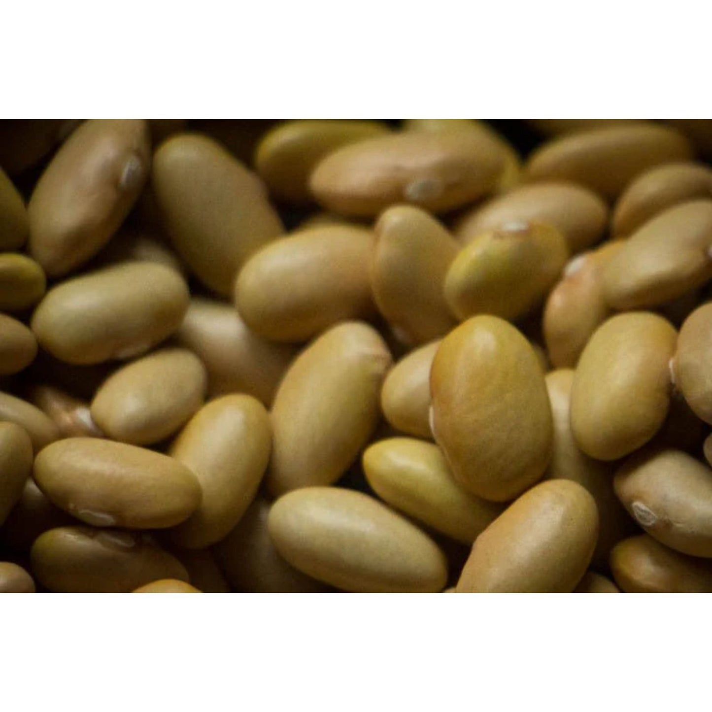 Rancho Gordo - Mayocoba Bean