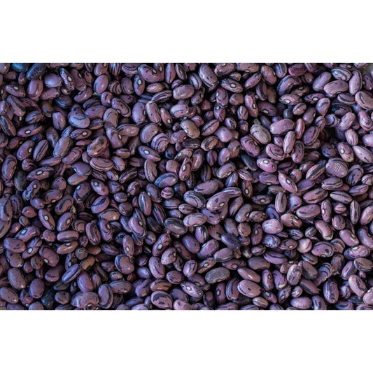 Rancho Gordo - Rio Zape Bean