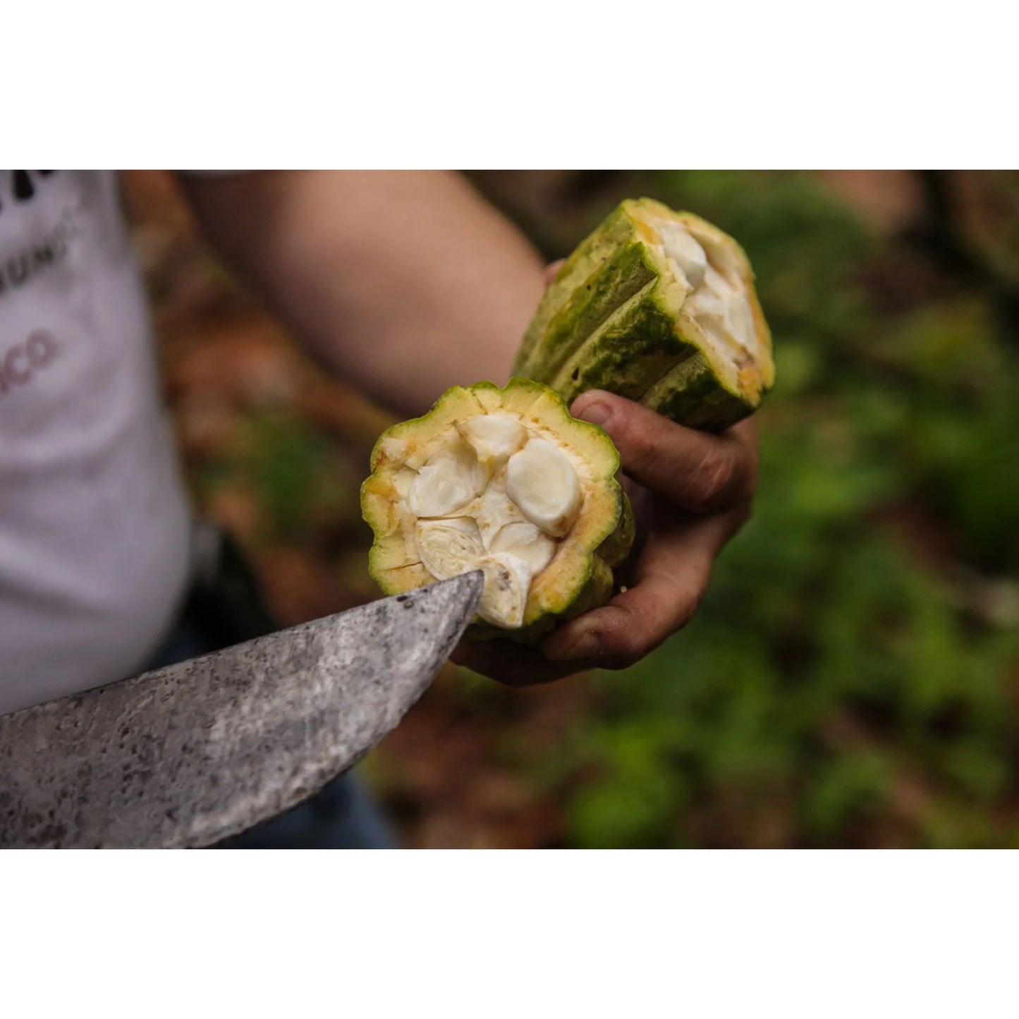 Goodnow Farms - Single Origin White Chocolate - 60% - 1.94 oz.