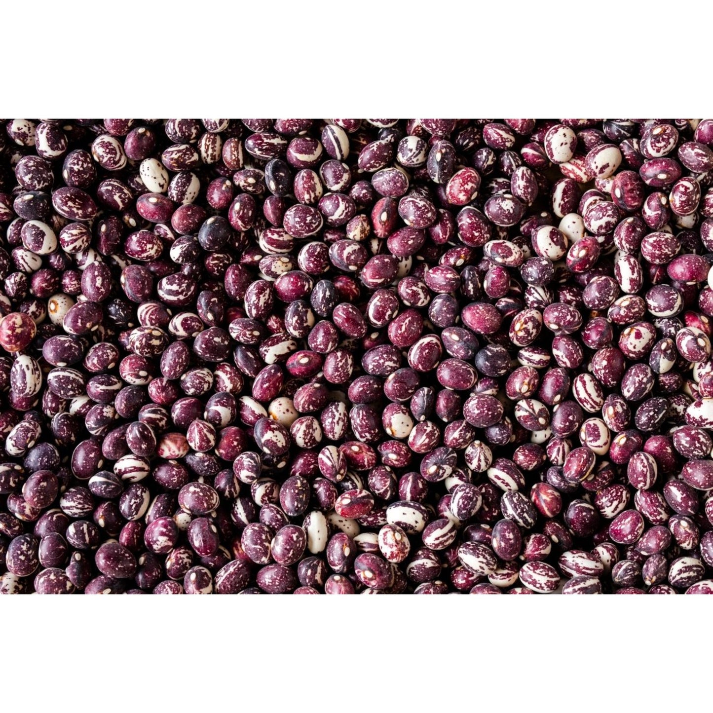 Rancho Gordo - Good Mother Stallard Bean