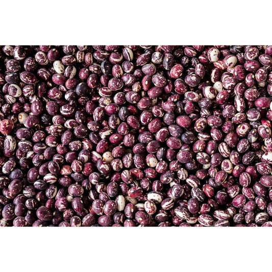 Rancho Gordo - Good Mother Stallard Bean