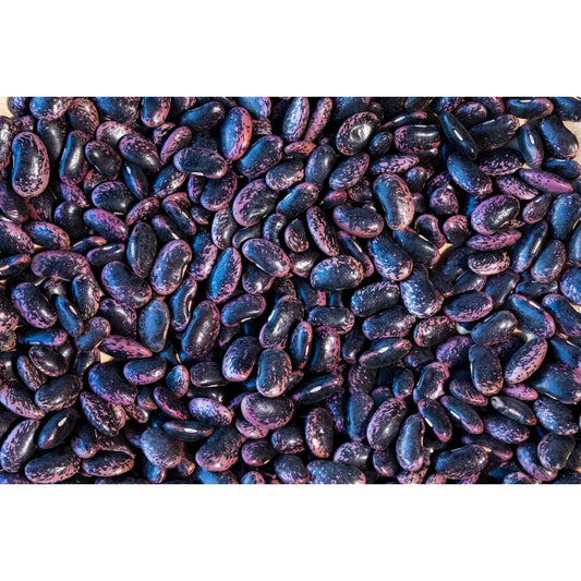 Rancho Gordo - Scarlet Runner Bean