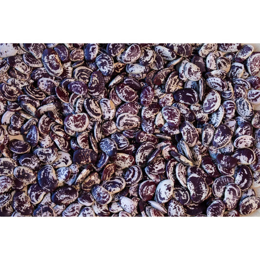 Rancho Gordo - Christmas Lima Bean