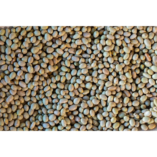 Rancho Gordo - Mayocoba Bean