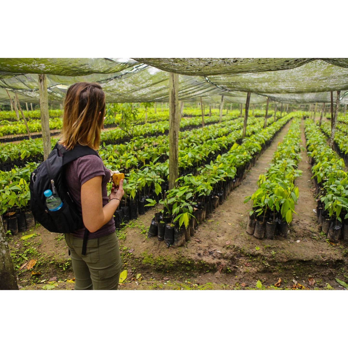 Goodnow Farms - Single Origin White Chocolate - 60% - 1.94 oz.