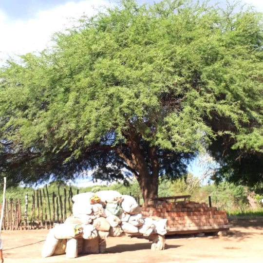 Burlap & Barrel - Wild Mesquite