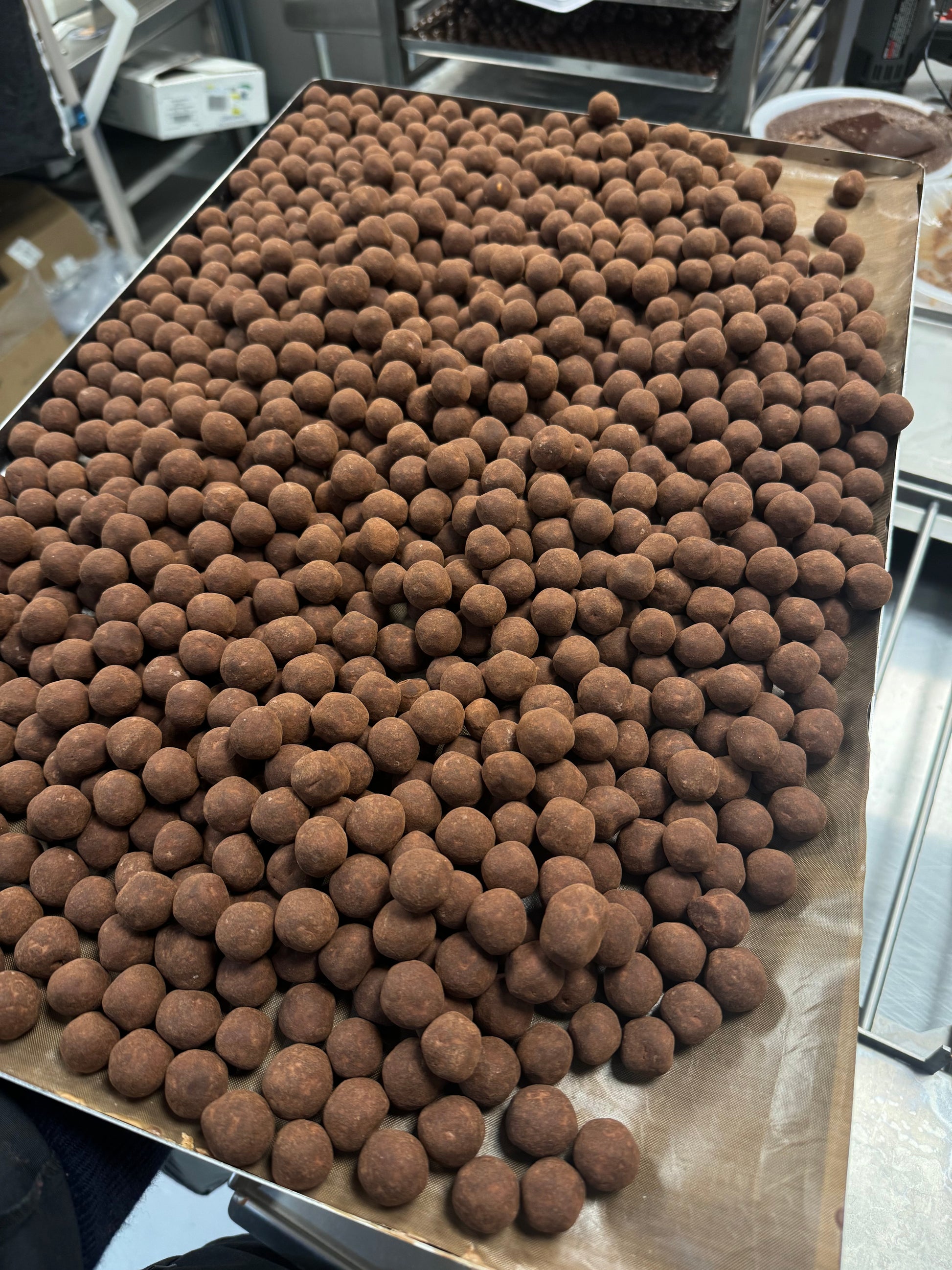 Fev'co - Hazelnut Dragees