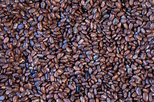 Rancho Gordo - Moro Bean