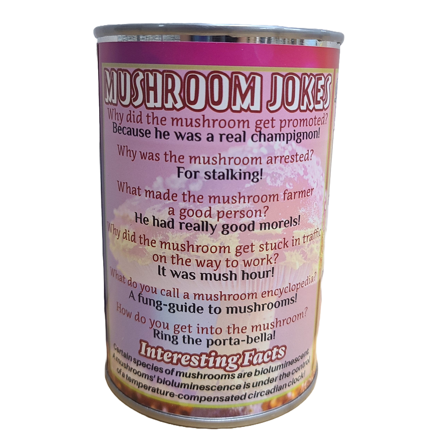 Canned Gifts - Ombre The Canned Rainbow Mushroom - Stuffed Animal