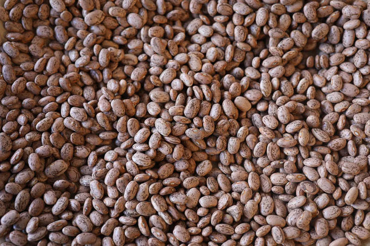 Rancho Gordo - Pinto Bean