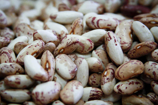 Rancho Gordo - Snowcap Bean