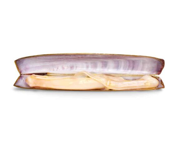 Espinaler - Razor Clams 5/8 Pieces Classic Line - 120 g