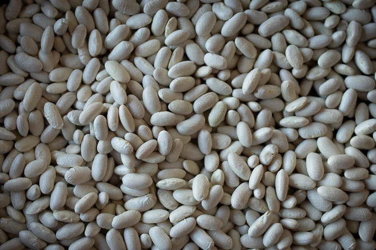 Rancho Gordo - Marcella Bean