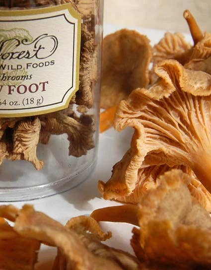 Wine Forest - Dried Yellow Foot Mushrooms - 0.64 oz.