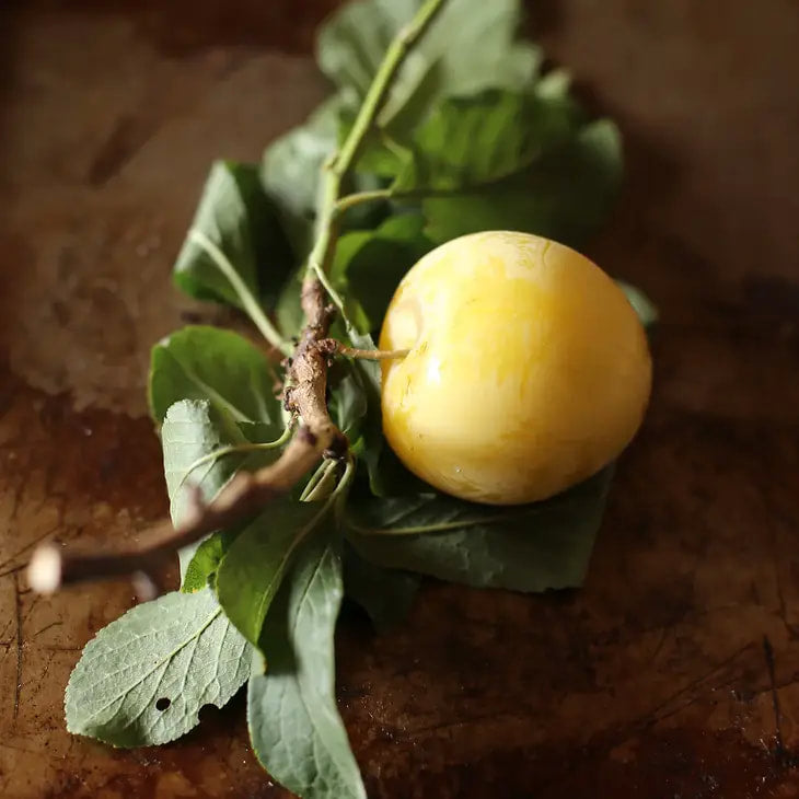 Girl Meets Dirt - Shiro Plum w/ Mint - 7.75 oz.
