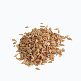 Campanini - Farro - 16 oz.