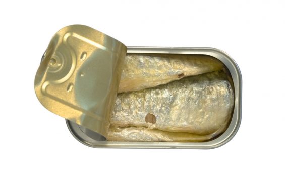 José Gourmet - Sardines In Extra Virgin Olive Oil - 125 g
