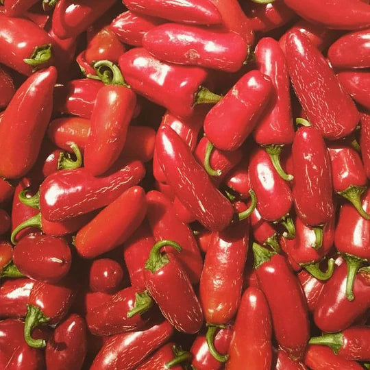 Burlap & Barrel - Red Jalapeño Chili Flakes
