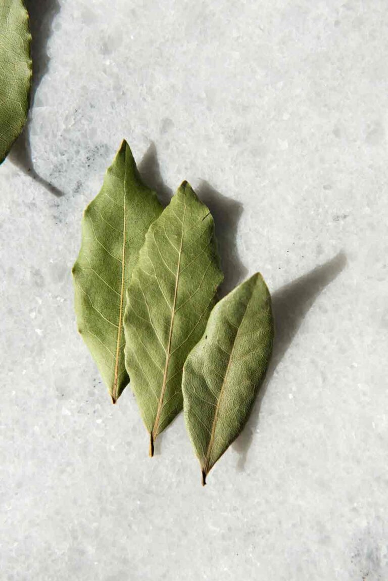 Daphnis And Chloe - Selected Bay Leaves - Glass Jar - 6 g
