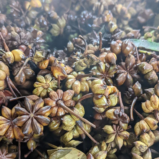 Burlap & Barrel - Smoked Star Anise