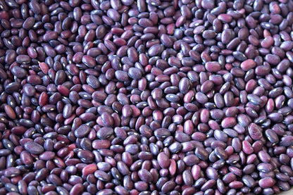 Rancho Gordo - Domingo Rojo Bean